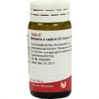 BERBERIS E RADICE D 3 im Preisvergleich