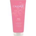 Caudalie Duschgel Rose de Vigne im Preisvergleich