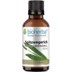 Spitzwegerich im Preisvergleich