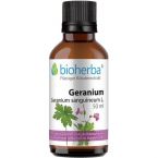 GERANIUM Geranium sanguineum L. im Preisvergleich