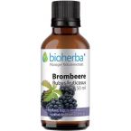 BROMBEERE Rubus fruticosus im Preisvergleich
