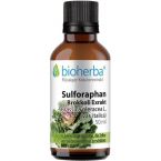 SULFORAPHAN Brokkoli Exrakt