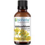 SCHLÜSSELBLUME Primula veris L. im Preisvergleich