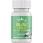 Astragalus Extrakt 1600 mg mit 10% Astragalosiden im Preisvergleich