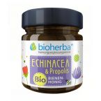ECHINACEA&PROPOLIS-BIOBIENENHONIG im Preisvergleich