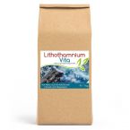 Lithothamnium Vita (100 % Rotalge) 8-Monatsvorrat - 1kg Vorratsbeutel im Preisvergleich