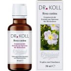 Gemmoextrakt Heckenrose im Preisvergleich